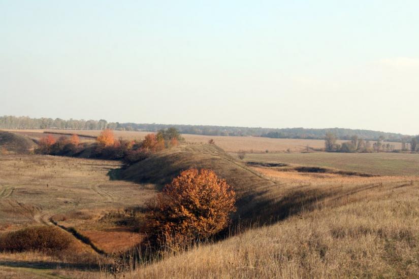 Озеро з panoramio.com - Озеро