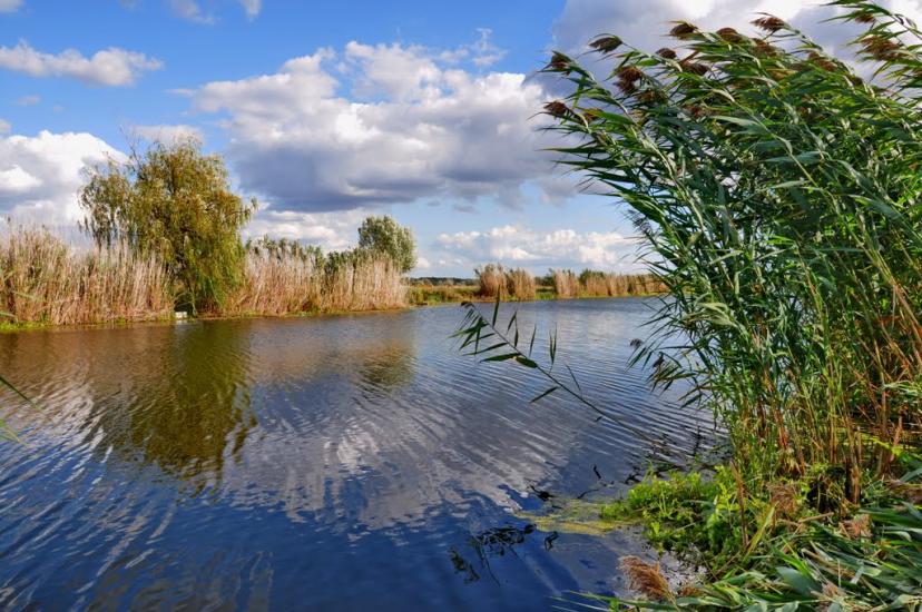 Залиман з panoramio.com - Залиман