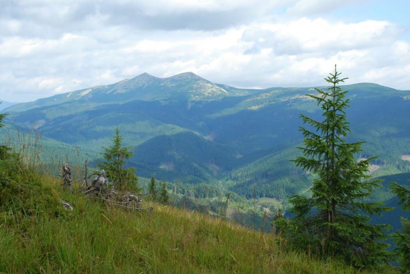 Згари з panoramio.com - Згари