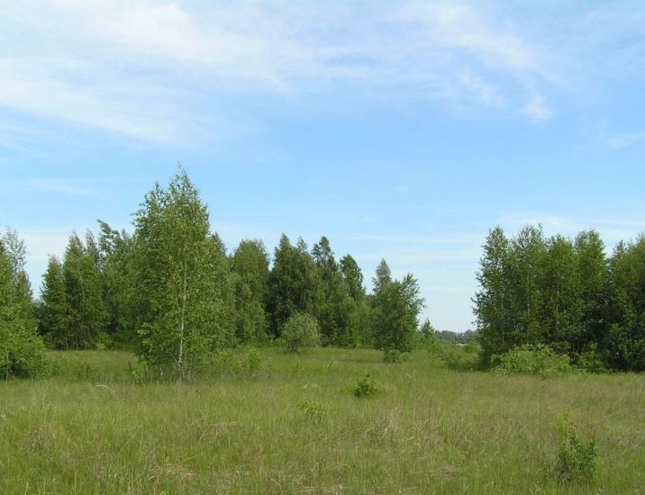 Вишеньки з panoramio.com - Вишенки