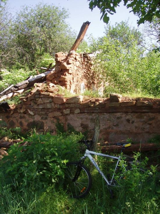 Краснолісся з panoramio.com - Краснолісся