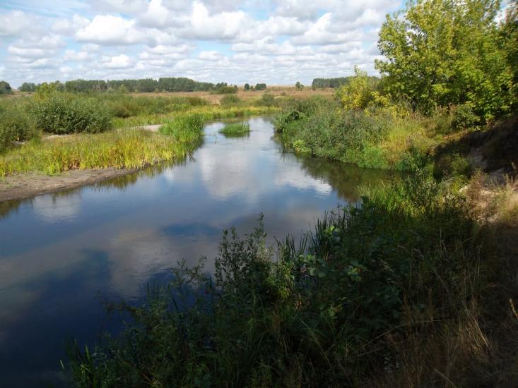 Білий Берег з panoramio.com - Білий Берег