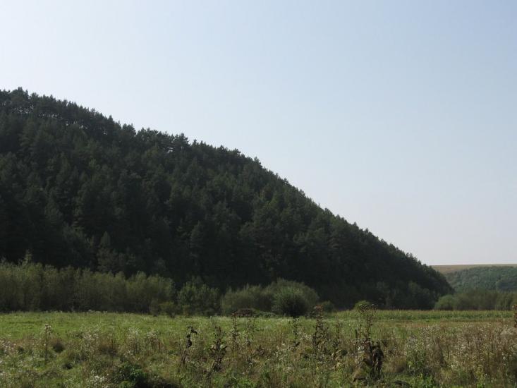 Кривче з panoramio.com - Кривче