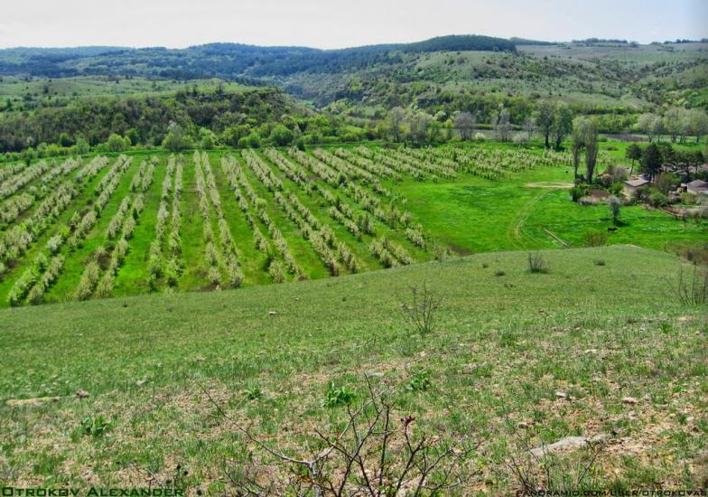 Некрасовка з panoramio.com - Некрасовка