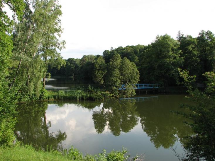 Васьківці з panoramio.com - Васьковцы