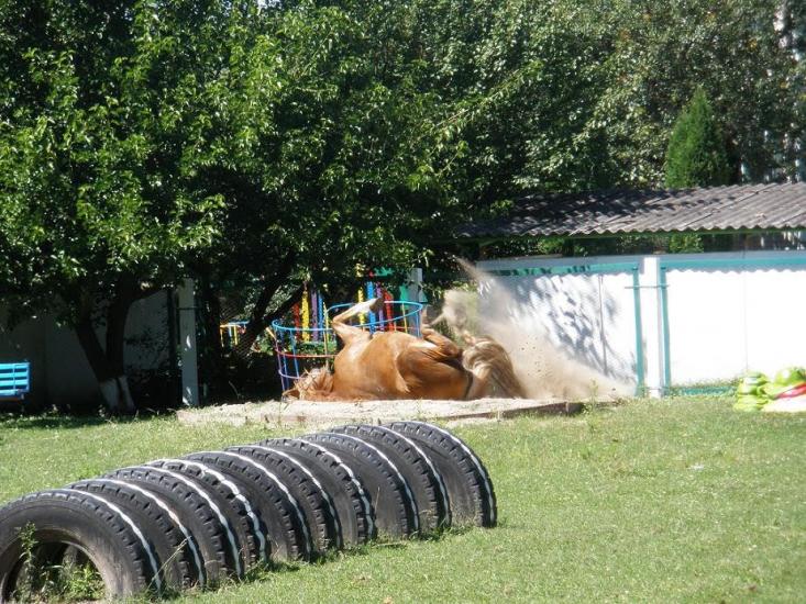 Лохвиця з panoramio.com - Лохвиця