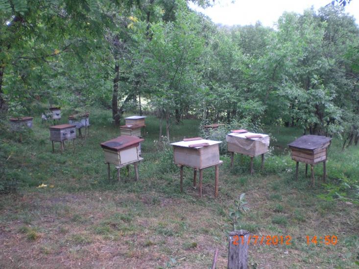 Байраки з panoramio.com - Байраки