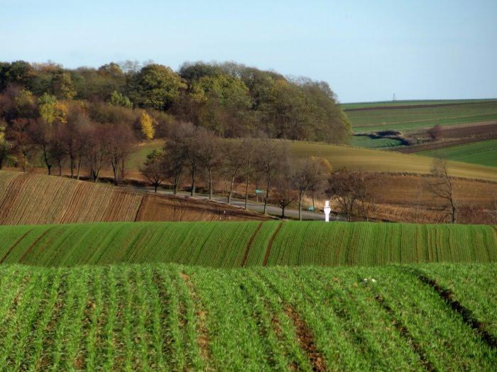 Корчів з panoramio.com - Корчев