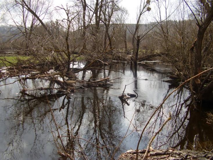 Городище з panoramio.com - Городище