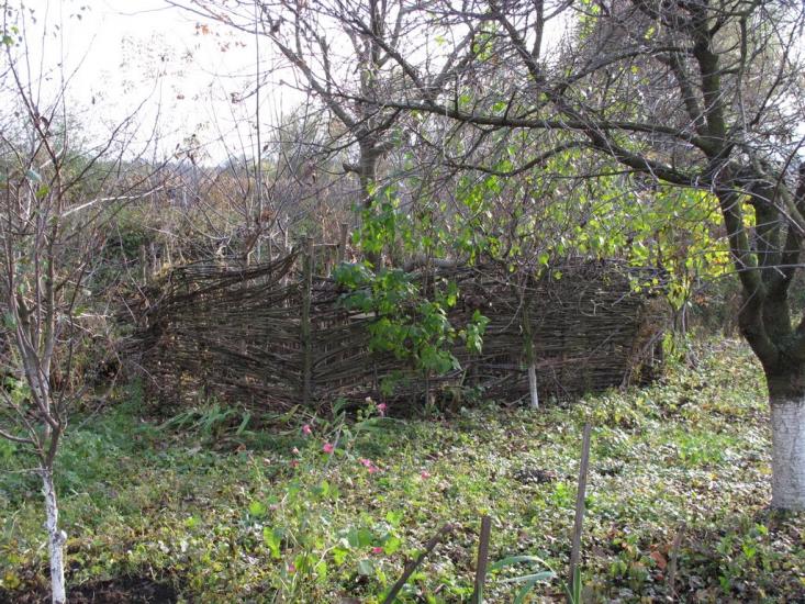 Ставище з panoramio.com - Ставище