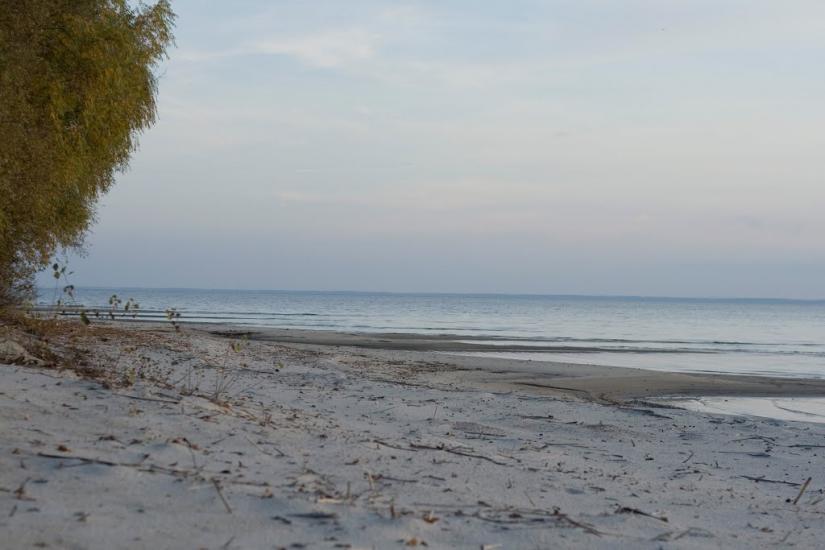 Васютинці з panoramio.com - Васютинцы