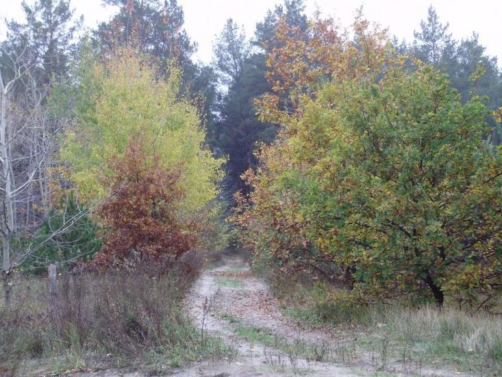 Булахівка з panoramio.com - Булаховка