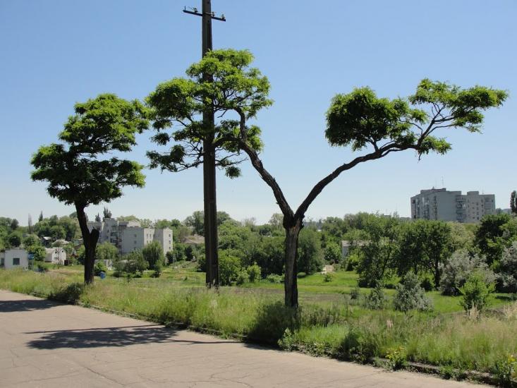 Верхньодніпровськ з panoramio.com - Верхнеднепровск