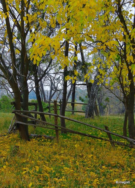 Кукулівка з panoramio.com - Кукулівка