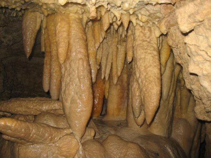 Залісся з panoramio.com - Залісся