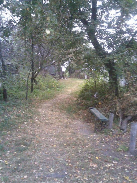 Веселий Кут з panoramio.com - Веселый Кут