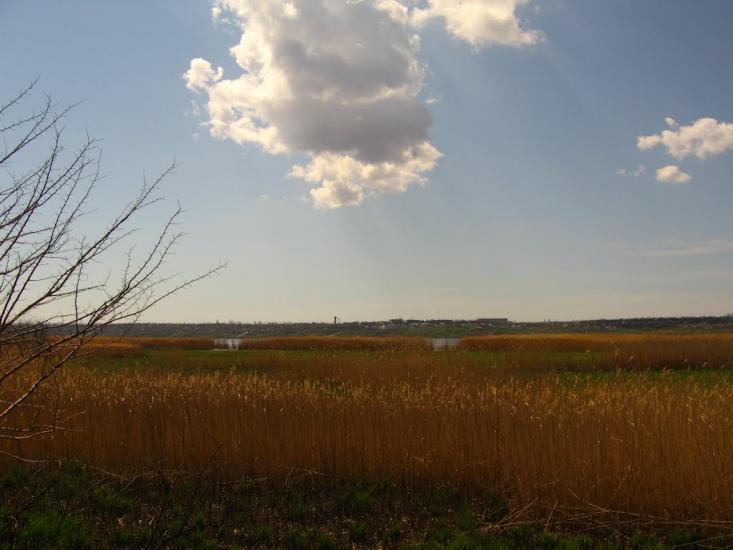 Надбузьке з panoramio.com - Надбузьке