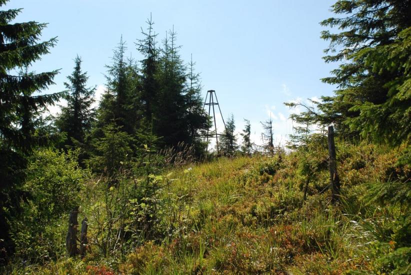 Згари з panoramio.com - Згары