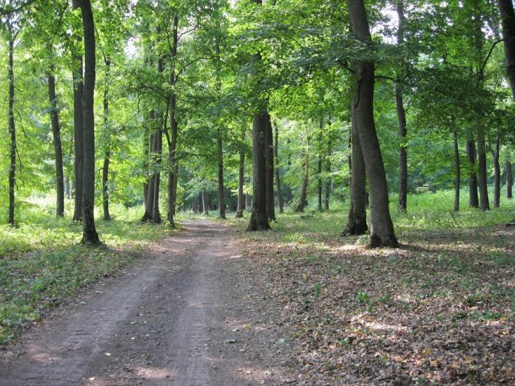 Рибальське з panoramio.com - Рибальське