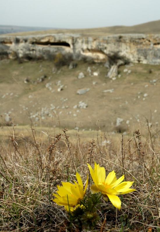 Біла Скеля з panoramio.com - Bila Skelya