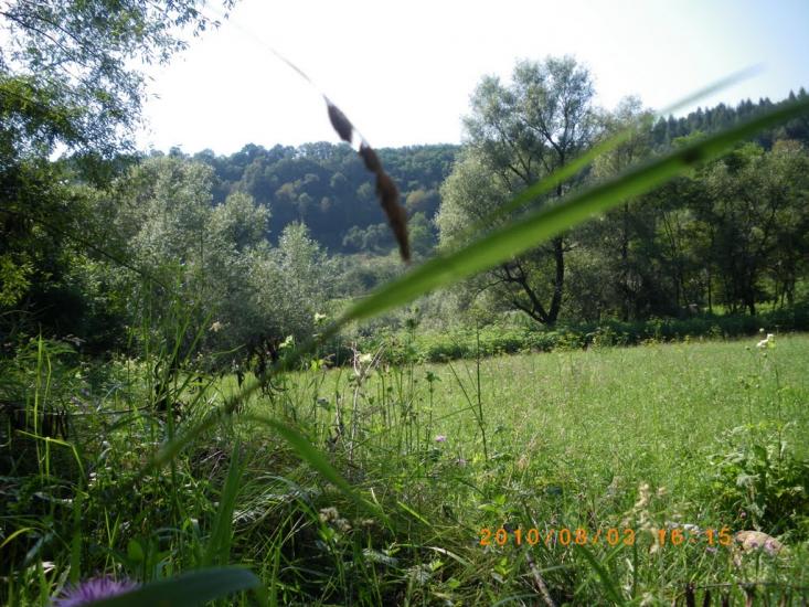 Біла Церква з panoramio.com - Біла Церква