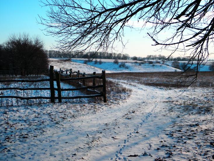 Остапенки з panoramio.com - Ostapenky