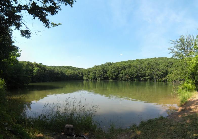 Червона Поляна з panoramio.com - Червона Поляна