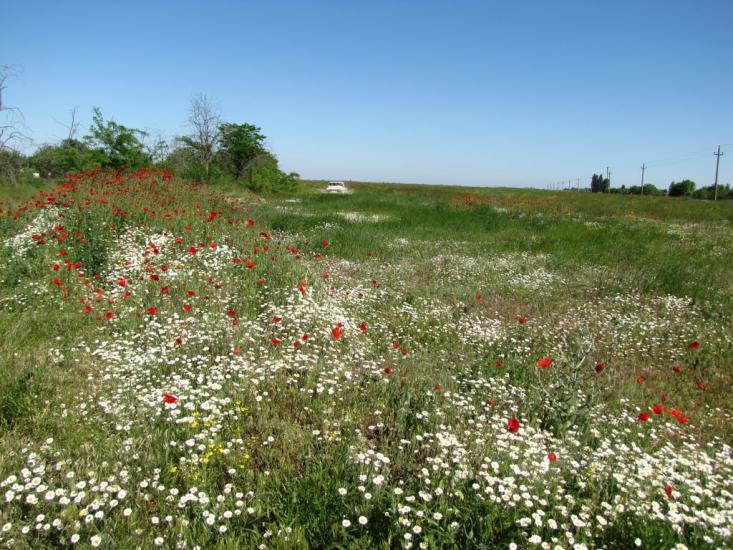 Армянськ з panoramio.com - Армянськ