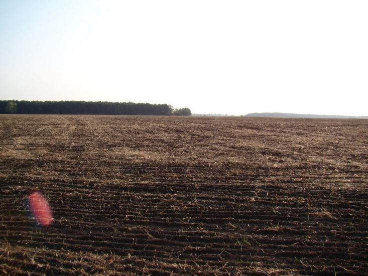 Селище з panoramio.com - Селище