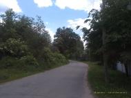 Вихвостів з panoramio.com