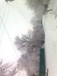 Юрівка з panoramio.com