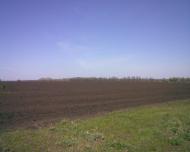 Підгородна з panoramio.com