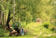 Улянівське - Останні фото