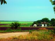 Миролюбівка з panoramio.com