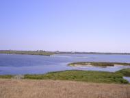 Біленьке з panoramio.com