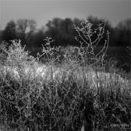 Мала Перещепина з panoramio.com