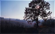 Старе Село з panoramio.com - Старое Село