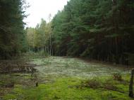 Неданчичі з panoramio.com