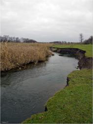 Широке з panoramio.com