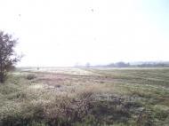 Райське з panoramio.com