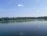 Тарноруда з panoramio.com