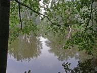 Проні з panoramio.com