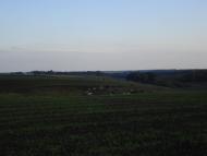 Дзензелівка з panoramio.com