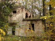 Дзензелівка з panoramio.com - Дзензелівка