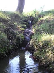 Воронівці з panoramio.com