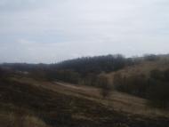 Радиславка з panoramio.com