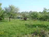 Бабухів з panoramio.com