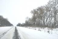 Куровичі з panoramio.com