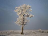 Жовтневе з panoramio.com