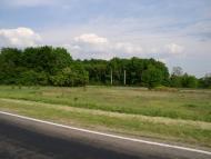 Новоіванівське з panoramio.com